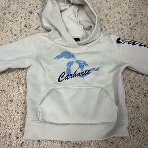 Carhartt hoodie - Great condition